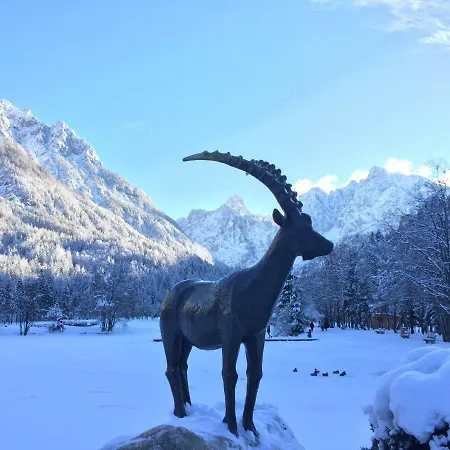 Mojca - Peridot In The Center With Private Indoor Parking Kranjska Gora