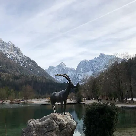 Mojca - Peridot In The Center With Private Indoor Parking Kranjska Gora