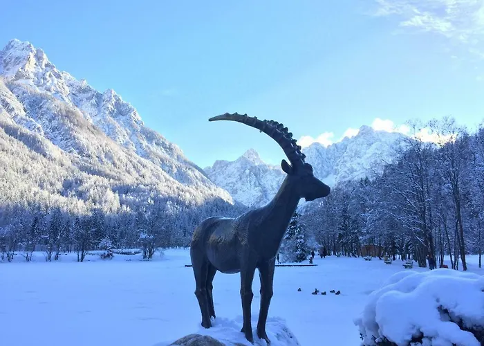 Mojca - Peridot In The Center With Private Indoor Parking Kranjska Gora