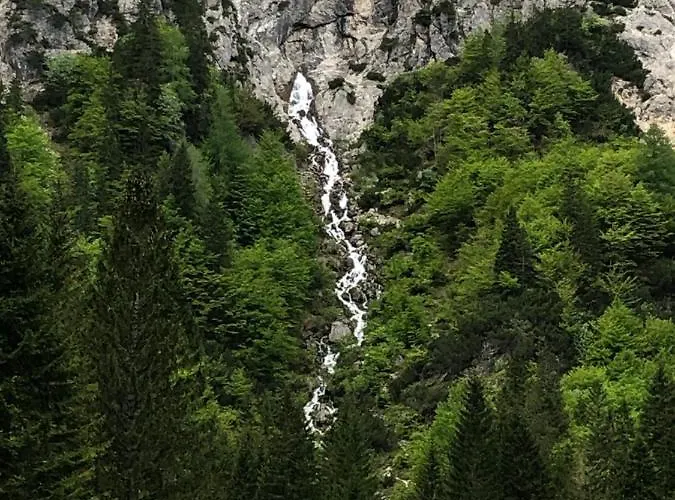 Mojca - Peridot In The Center With Private Indoor Parking Apartmán Kranjska Gora